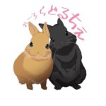 おーろらどるちぇ