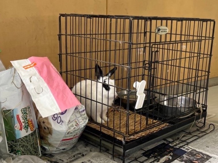 学校内室内飼育