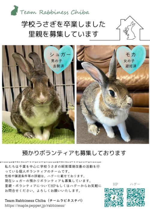 シュガーモカ1221